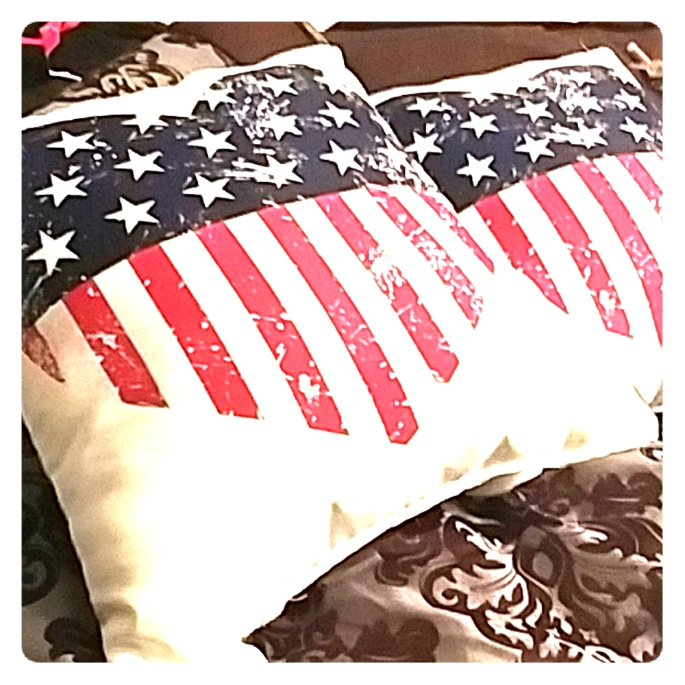 Sleek America decore pillows
